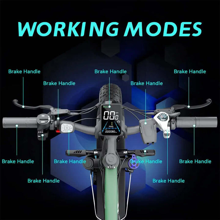 BoomBike Zeegr F1 Pro Dual Motor Electric Bike 35MPH 80Miles - BoomBike